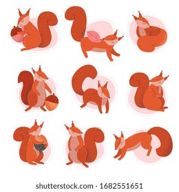 Cute Squirrel Animal Sitting and Jumping Vector Illustrations Set