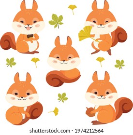 Cute squirrel animal vector  character