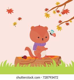 cute squirrel in autumn vector
