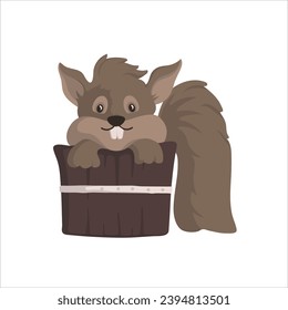 Cute Squirrel Brown in the Basket