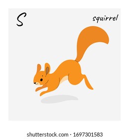 Cute squirrel - cartoon animal character. Vector illustration in flat style isolated on gray background.