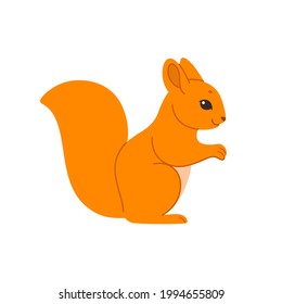 Cute squirrel - cartoon animal character. Vector illustration in flat style isolated on white background.