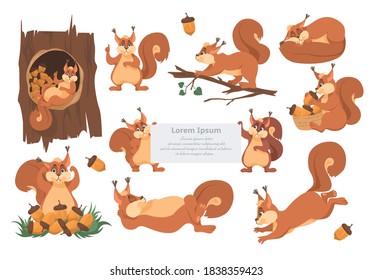 Cute squirrel cartoon character set, flat vector isolated illustration. Funny animals sleeping, eating acorns, running, playing. Forest wild animals different activities. Emoji, logo, sticker.