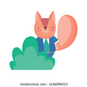 cute squirrel cartoon foliage bush cartoon on white background vector illustration