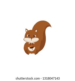 cute squirrel cartoon icon on a white background