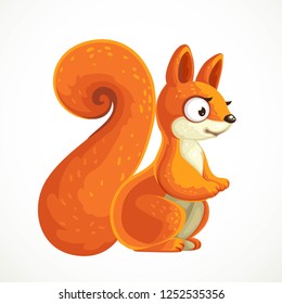 Cute squirrel cartoon isolated on white background