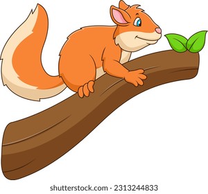 Cute squirrel cartoon on a branch. Cute animal cartoon