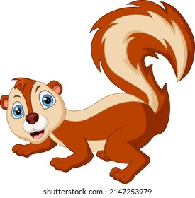Cute squirrel cartoon on white background