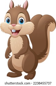 Cute squirrel cartoon on white background