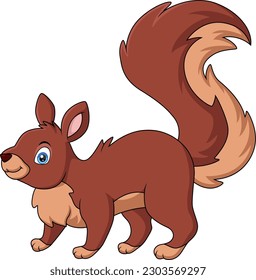 Cute squirrel cartoon on white background