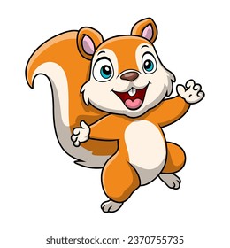 Cute squirrel cartoon on white background