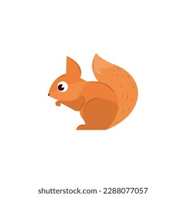 Cute squirrel cartoon vector, icon on a white background