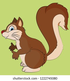 Cute squirrel cartoon. Vector illustration of a squirrel isolated on greenish background