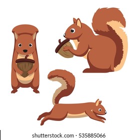 Cute Squirrel Cartoon Vector Illustration