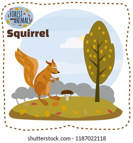 Cute squirrel cartoon. Wildlife. Wild animal. Vector illustration.