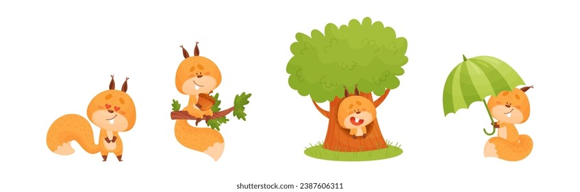 Cute Squirrel Character with Bushy Tail Engaged in Different Activity Vector Set