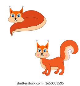  cute squirrel character  illustration  vector 
