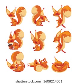 Cute Squirrel Collection, Funny Little Rodent Animal Cartoon Character in Various Poses Vector illustration