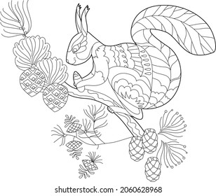 Cute squirrel with cone  in forest. Doodle style, black and white background. Funny winter animal, coloring book pages. Hand drawn illustration in zentangle style for children and adults, tattoo.