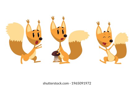 Cute Squirrel Doing Different Activities Set, Funny Wild Animal Character Vector Illustration