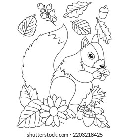 Cute squirrel eating acorns seeds flowers leaves Autumn Fall season coloring illustration pages