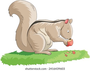 Cute squirrel eating cedar illustration