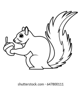 cute squirrel eats nut nature wildlife image