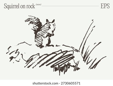 Cute Squirrel Foraging em Grass Sketch Illustration