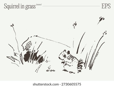 Cute Squirrel Foraging em Grass Sketch Illustration
