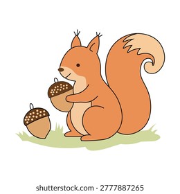 Cute squirrel holding an acorn nut cartoon illustration. Forest animal character on grass
