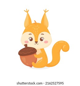 Cute squirrel holds an acorn. Funny childish animal for poster, card, print, kid clothing, invitation. Vector illustration in cartoon style isolated on white background