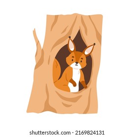 Cute squirrel inside hole house. Small forest animal looking out of tree hollow in woods. Adorable rodent peeking out of shelter in trunk. Flat vector illustration isolated on white background