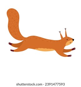 Cute squirrel isolated on white background. Jumping forest character in cartoon style for kids design. Orange woodland animal. Vector illustration