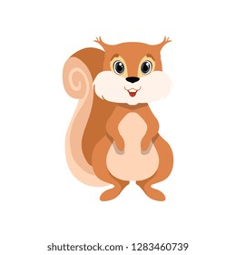 Cute squirrel, lovely animal cartoon character front view vector Illustration