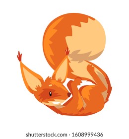 Cute Squirrel Lying on Its Back, Funny Little Orange Rodent Animal Cartoon Character Vector illustration