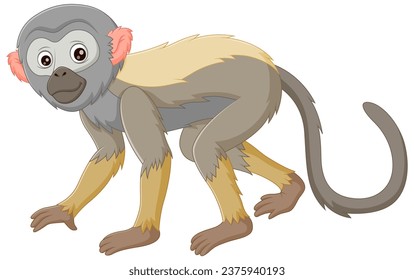 Cute squirrel monkey cartoon isolated on white background. Vector illustration