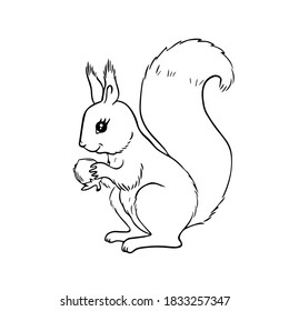 Cute squirrel with a nut in its paws for coloring page or book. Cartoon wild animal character. Black and white vector 10 EPS illustration.