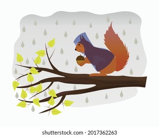 Cute squirrel with a nut and a raincoat sits on a tree branch in the rain. Autumn weather concept. Funny cartoon character. Vector illustration on a gray background.