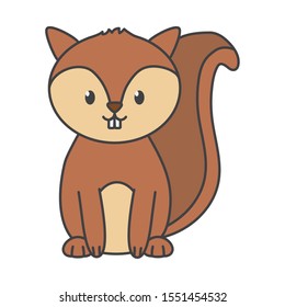 cute squirrel on white background vector illustration