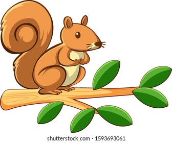 Ardilla corta en ilustración de fondo blanco