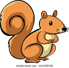 Cute squirrel on white background illustration