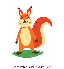 Cute squirrel on a white background. Vector illustration.
