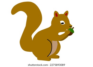 Cute squirrel on a white background. Vector illustration.