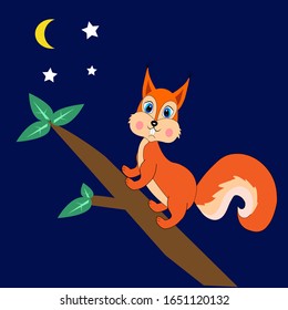 cute squirrel pattern illustration vector