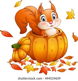 Cute squirrel in a pumpkin