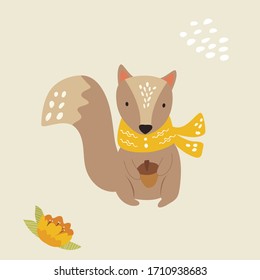 Cute squirrel in a scarf with acorn. Forest animal character design. For baby prints. book illustrations