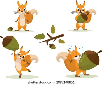 Cute squirrel set Holding Acorn. Funny little brown squirrel collection. Emotion little animal. Cartoon animal character design. Vector illustration isolated on white background.