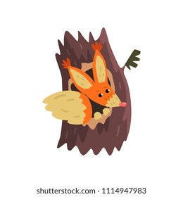 Cute squirrel sitting in hollow of tree, hollowed out old tree and cute animal cartoon character inside vector Illustration on a white background