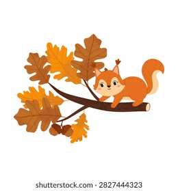 Cute squirrel sitting on an autumn oak branch with colorful leaves and acorns. Flat vector illustration for fall, woodland, nature and seasonal designs.