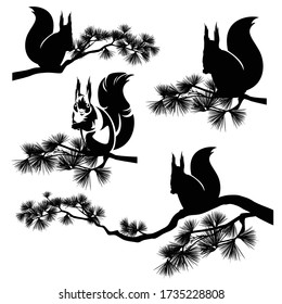 cute squirrel sitting on pine tree branch - forest wildlife black and white vector silhouette set